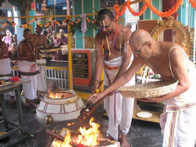 Arumbakkam Sri Satyavaradaraja Perumal Temple Pavithrotsavam17