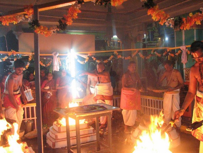 Arumbakkam Sri Satyavaradaraja Perumal Temple Pavithrotsavam29