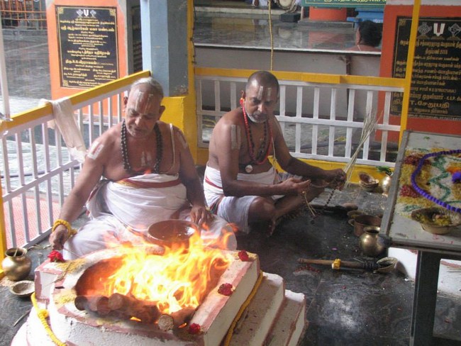 Arumbakkam Sri Satyavaradaraja Perumal Temple Pavithrotsavam3