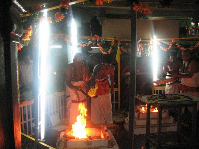 Arumbakkam Sri Satyavaradaraja Perumal Temple Pavithrotsavam37