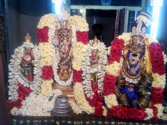 Arumbakkam Sri Satyavaradaraja Perumal Temple Thiruvadipoora Uthsavam Concludes11