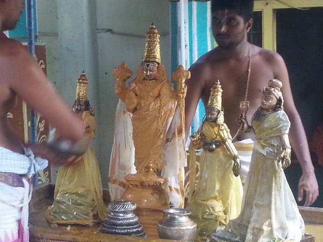 Arumbakkam Sri Satyavaradaraja Perumal Temple Thiruvadipoora Uthsavam Concludes18
