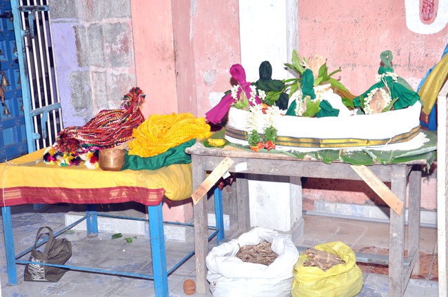 Aviyur Sri Navaneetha Krishnan Perumal Temple Thirupavithrotsavam 2014 02