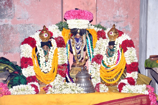 Aviyur Sri Navaneetha Krishnan Perumal Temple Thirupavithrotsavam 2014 17