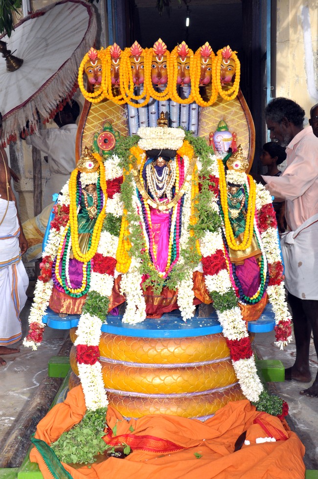 Aviyur Sri Navaneetha Krishnan Perumal Temple Thirupavithrotsavam 2014 24