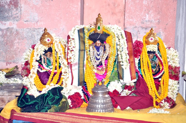 Aviyur Sri Navaneetha Krishnan Perumal Temple Thirupavithrotsavam 2014 32