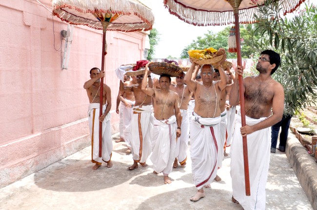 Aviyur Sri Navaneetha Krishnan Perumal Temple Thirupavithrotsavam 2014 34