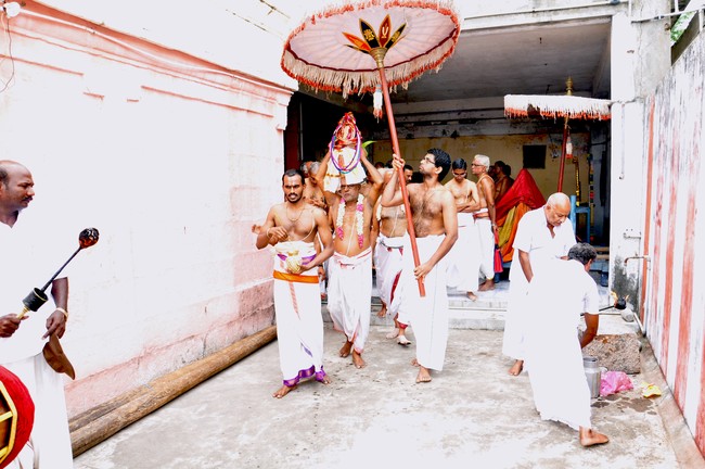 Aviyur Sri Navaneetha Krishnan Perumal Temple Thirupavithrotsavam 2014 41