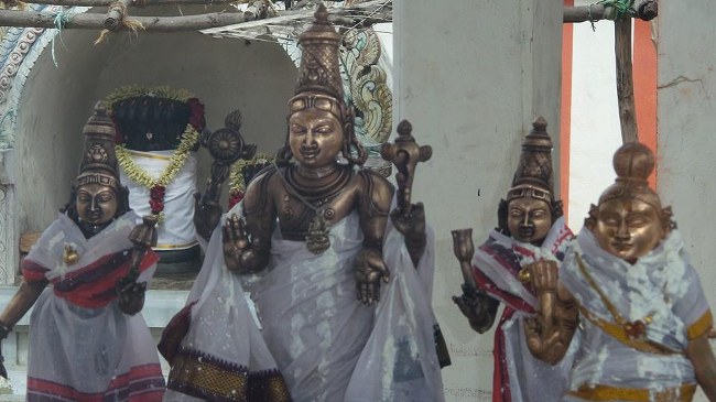 Ayalur Sri Sundararaja  Perumal Kovil Sri Andal THiruvadipooram Utsavam 2014 17