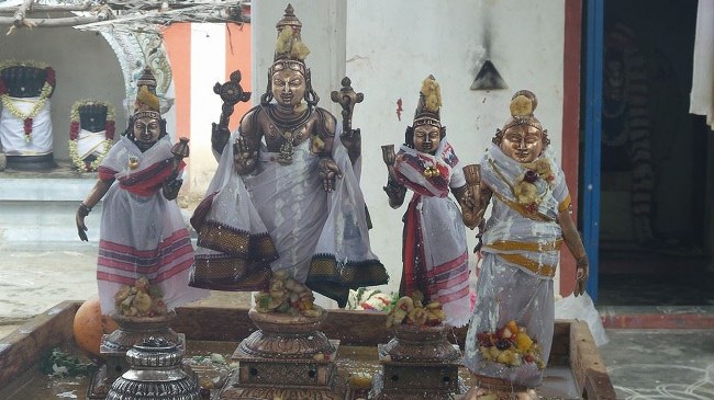 Ayalur Sri Sundararaja  Perumal Kovil Sri Andal THiruvadipooram Utsavam 2014 23