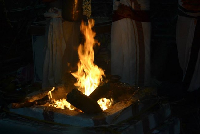 BHEL Sri Venkatachalapathi Temple Pavithrotsavam Concludes 2014 03
