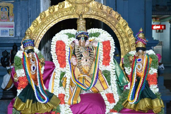 BHEL Sri Venkatachalapathy temple pavithrotsavam day 1  2014 10