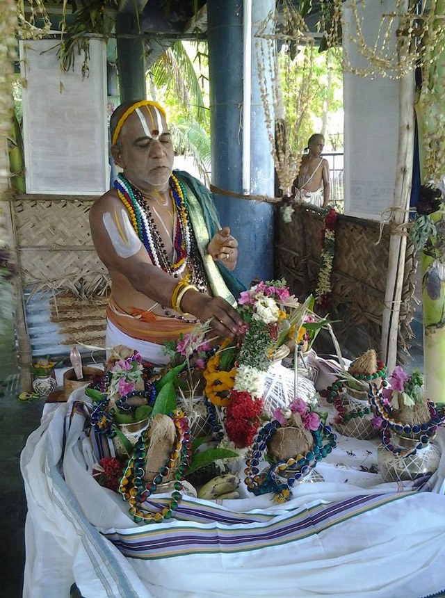 BHEL Sri Venkatachalapathy temple pavithrotsavam day 2 2014 1