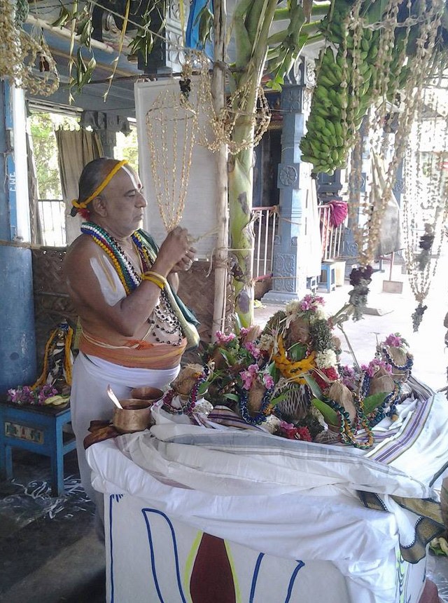 BHEL Sri Venkatachalapathy temple pavithrotsavam day 2 2014 3