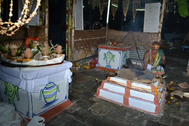 BHEL Sri Venkatachalapathy temple pavithrotsavam day 2 2014 4