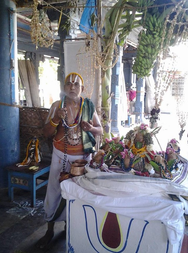 BHEL Sri Venkatachalapathy temple pavithrotsavam day 2 2014 7