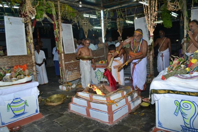 BHEL Sri Venkatachalapathy temple pavithrotsavam day 3 2014 03