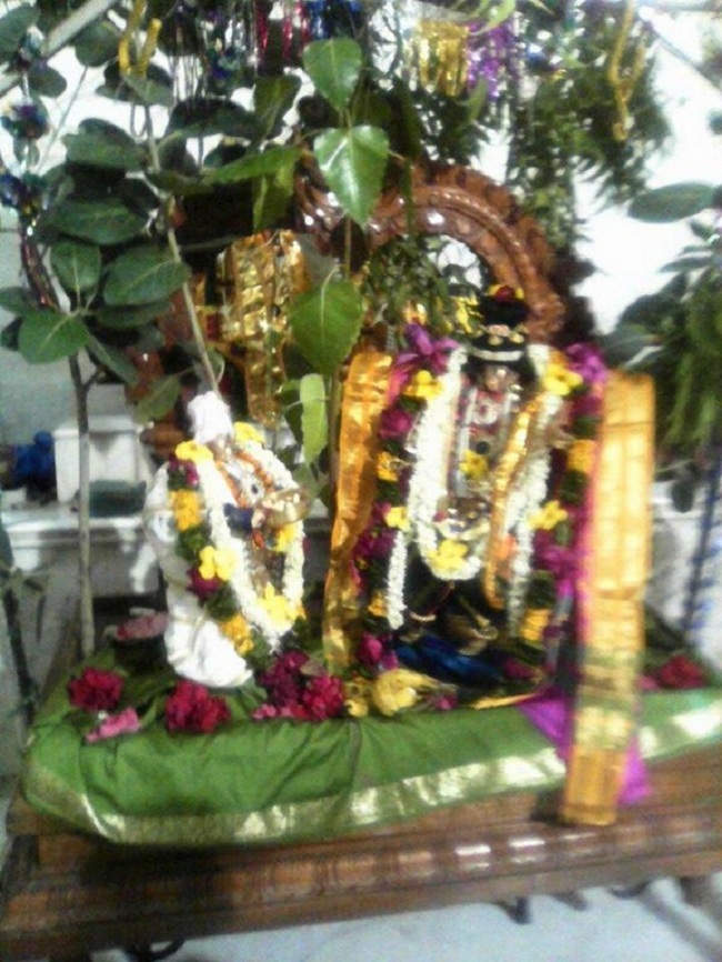 Hazira Sri Balaji Temple Oonjal Utsavam2