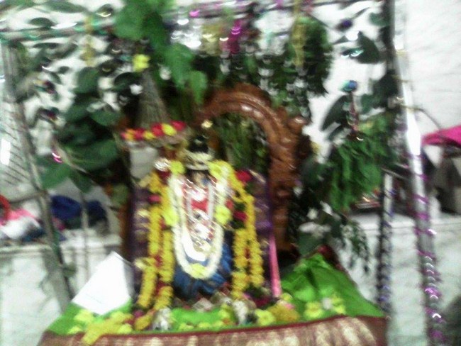 Hazira Sri Balaji Temple Oonjal Utsavam5