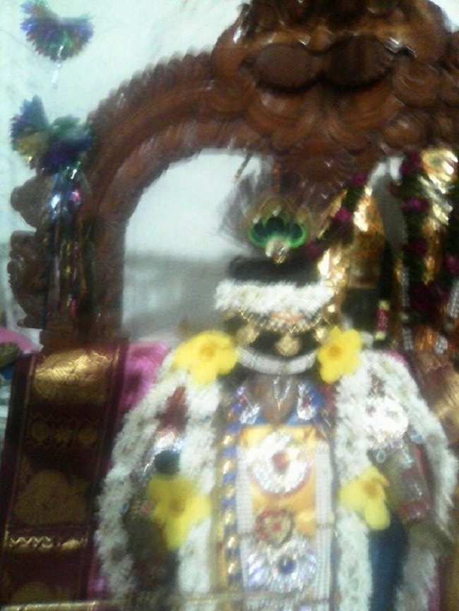 Hazira Sri Balaji Temple Oonjal Utsavam6