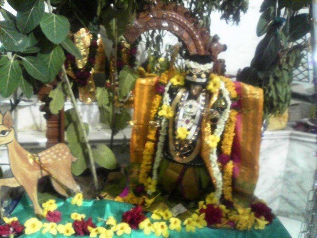 Hazira Sri Balaji Temple Oonjal Utsavam7