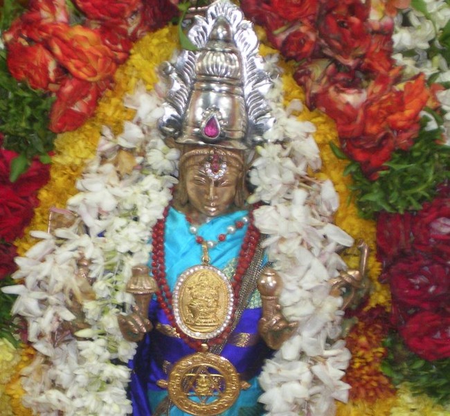 Hydrebad Ahobila mutt Sri Sudharshana Homam 2014 02