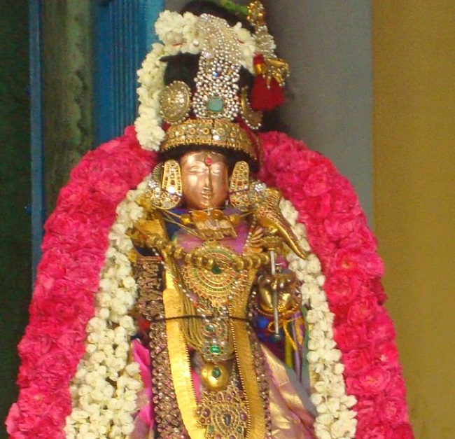 Kanchi Perumal Kovil Sri Andal THiruvadipooram Utsavam  day 10 2014 02