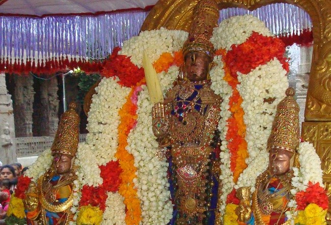 Kanchi Perumal Kovil Sri Andal THiruvadipooram Utsavam  day 10 2014 04