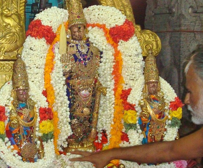 Kanchi Perumal Kovil Sri Andal THiruvadipooram Utsavam  day 10 2014 09