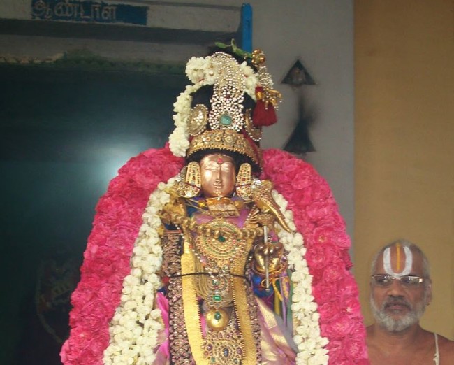 Kanchi Perumal Kovil Sri Andal THiruvadipooram Utsavam  day 10 2014 12