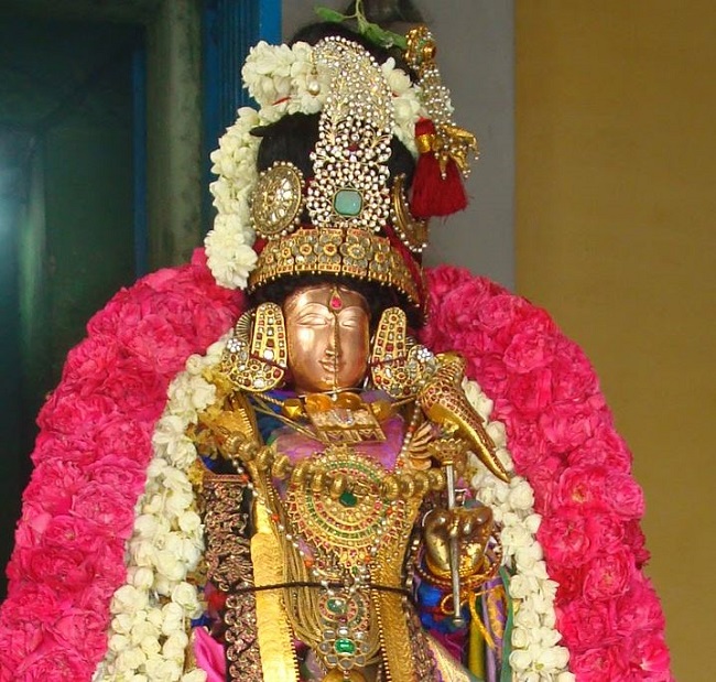 Kanchi Perumal Kovil Sri Andal THiruvadipooram Utsavam  day 10 2014 19