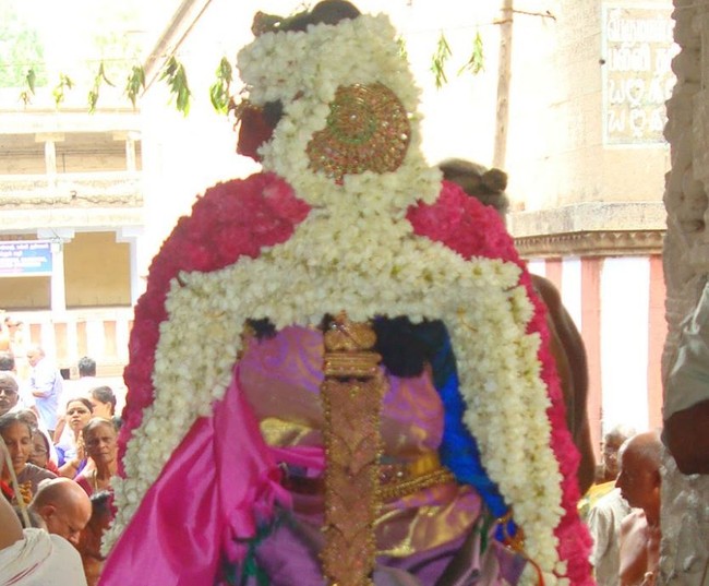 Kanchi Perumal Kovil Sri Andal THiruvadipooram Utsavam  day 10 2014 21