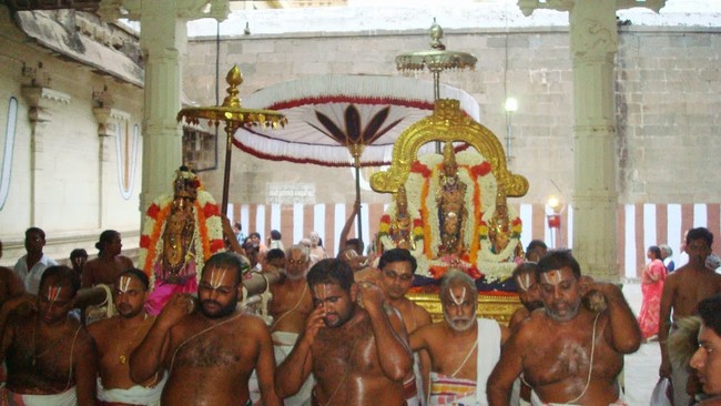 Kanchi Perumal Kovil Sri Andal THiruvadipooram Utsavam  day 10 2014 30
