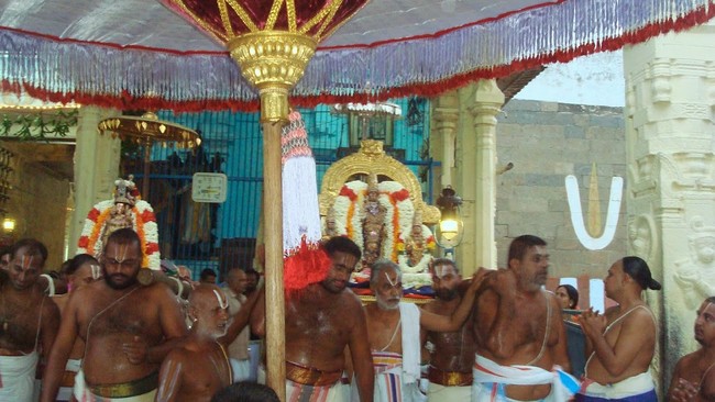Kanchi Perumal Kovil Sri Andal THiruvadipooram Utsavam  day 10 2014 33