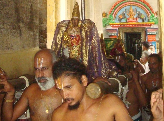 Kanchi Sri Perarulalan Jaya Avani ammavasai purappadu 2014 03