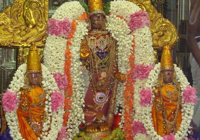 Kanchi Sri Perarulalan Jaya Avani ammavasai purappadu 2014 07
