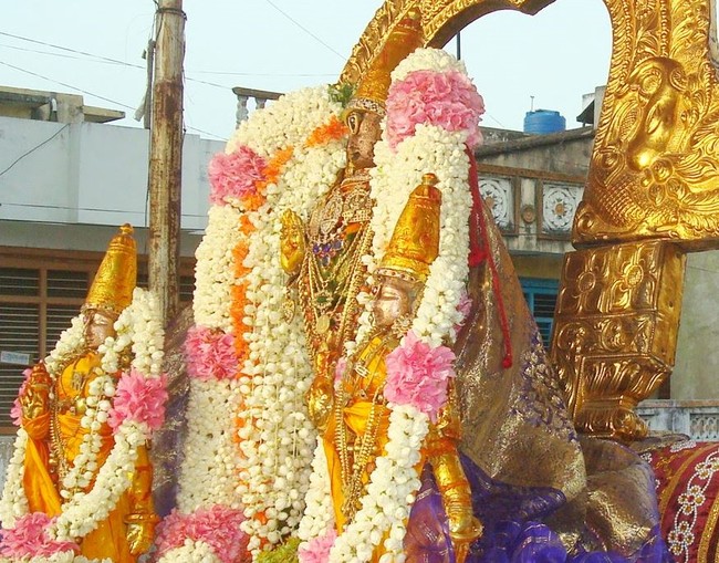 Kanchi Sri Perarulalan Jaya Avani ammavasai purappadu 2014 12