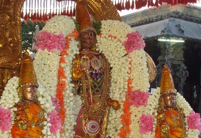 Kanchi Sri Perarulalan Jaya Avani ammavasai purappadu 2014 20