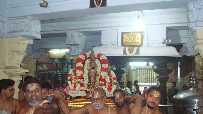 Kanchi Varadaraja Kovil Alavandhar Thirunakshatra Utsavam 2014 06