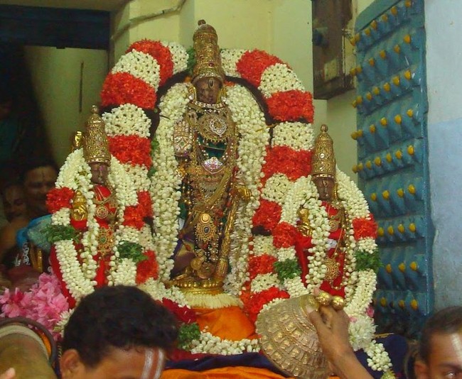 Kanchi Varadaraja Kovil Alavandhar Thirunakshatra Utsavam 2014 09