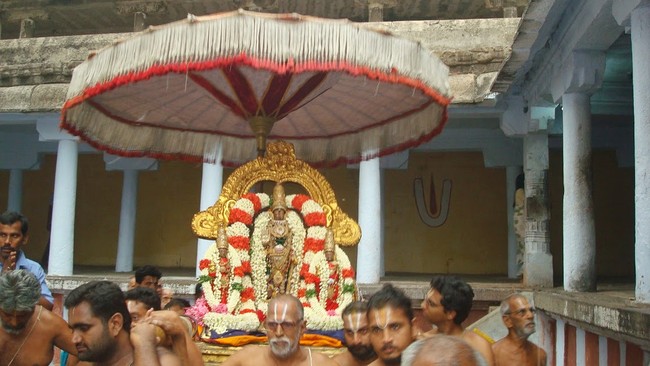 Kanchi Varadaraja Kovil Alavandhar Thirunakshatra Utsavam 2014 10