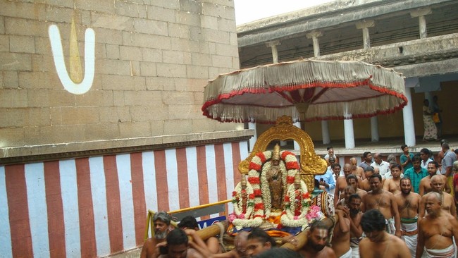 Kanchi Varadaraja Kovil Alavandhar Thirunakshatra Utsavam 2014 11