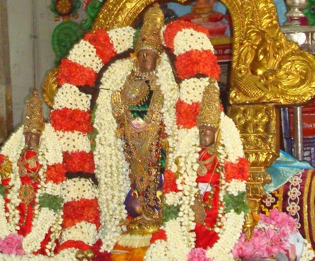 Kanchi Varadaraja Kovil Alavandhar Thirunakshatra Utsavam 2014 12
