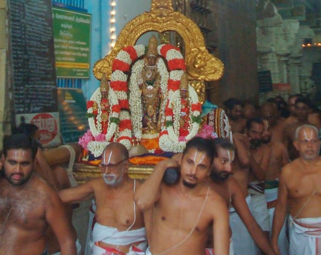 Kanchi Varadaraja Kovil Alavandhar Thirunakshatra Utsavam 2014 15