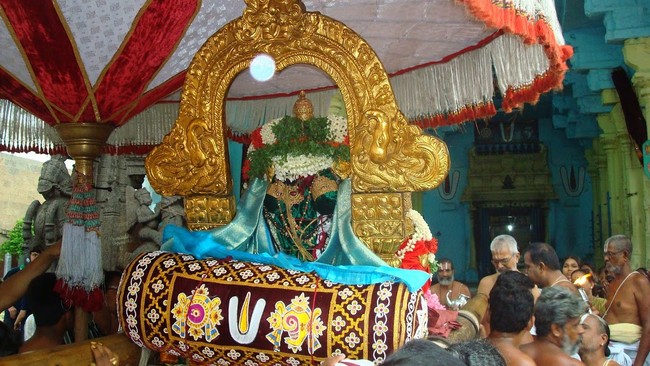 Kanchi Varadaraja Kovil Alavandhar Thirunakshatra Utsavam 2014 16