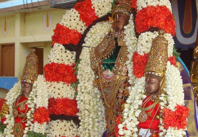 Kanchi Varadaraja Kovil Alavandhar Thirunakshatra Utsavam 2014 19