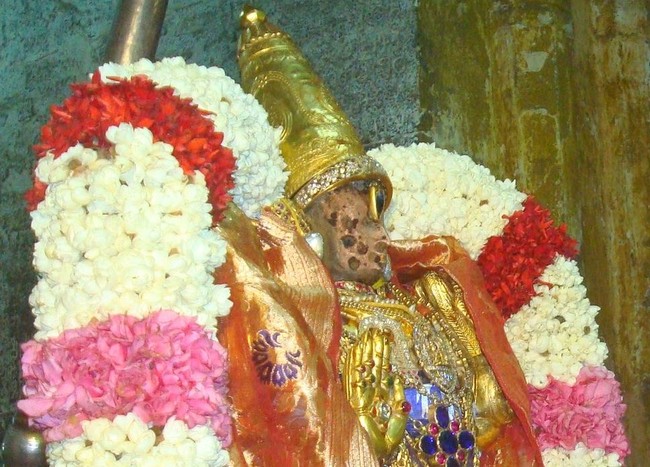 Kanchi Varadarja Perumal Kovil Aadi Garudan Gajenda Moksham 2014 34