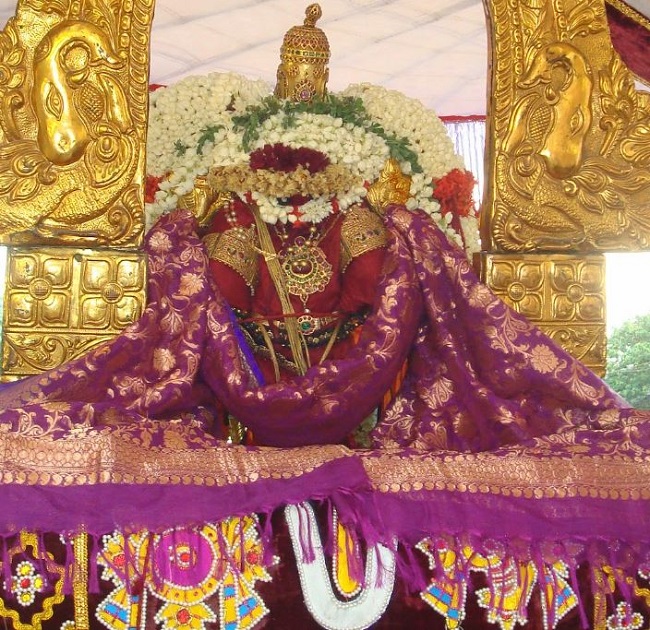 Kanchi varadaraja Perumal Temple OOrkolam Utsavam 2014 06