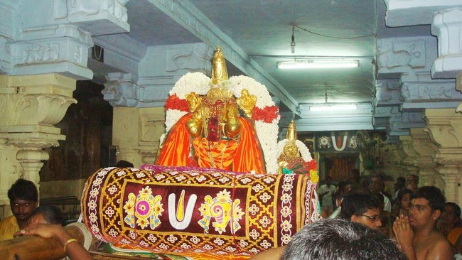 Kanchi varadaraja Perumal Temple OOrkolam Utsavam 2014 31