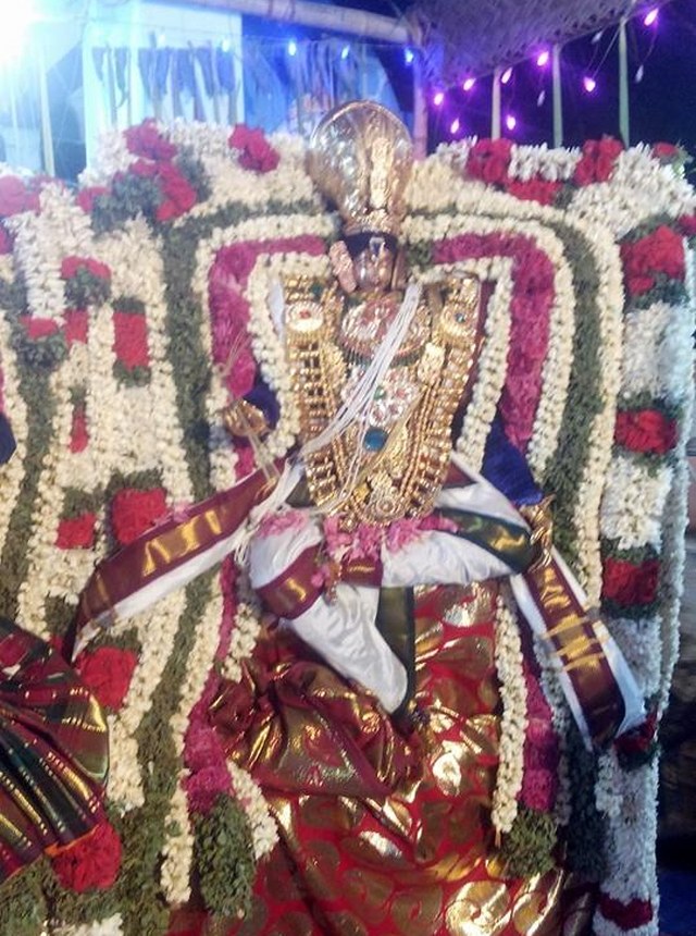 Kapnamangalam Sri Madhana Kesava Perumal Temple Thirukalyana Utsavam 2014 05
